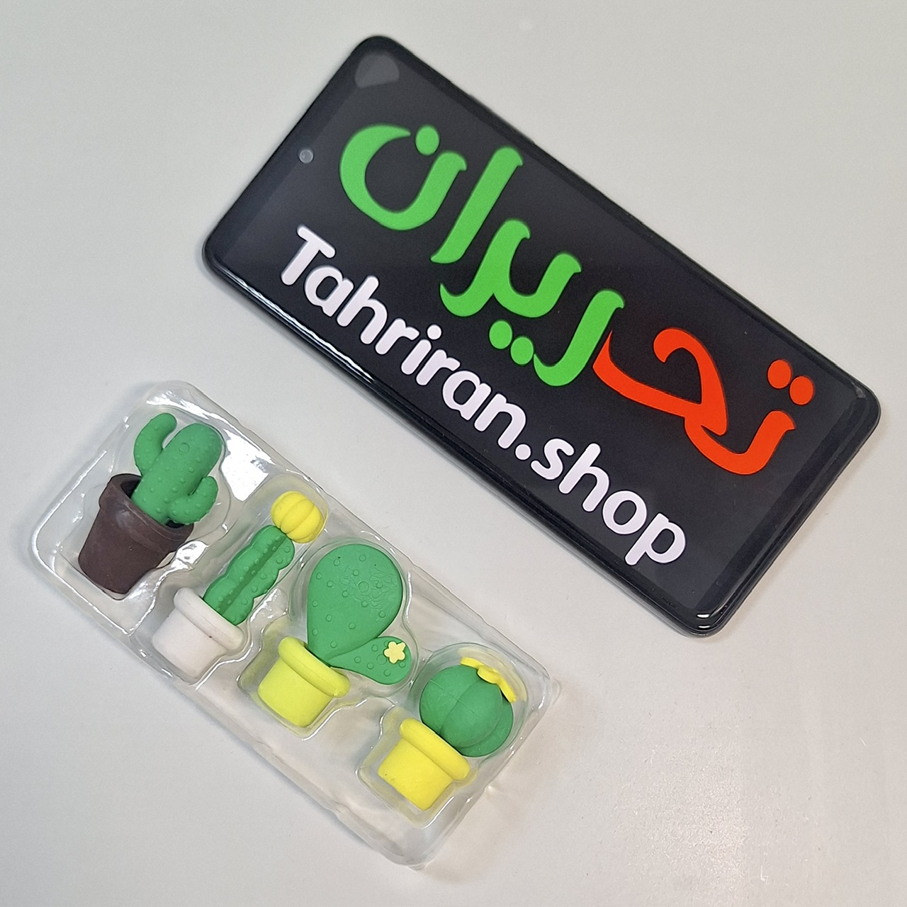 خرید بسته پاک کن فانتزی طرح کاکتوس ۴ عددی