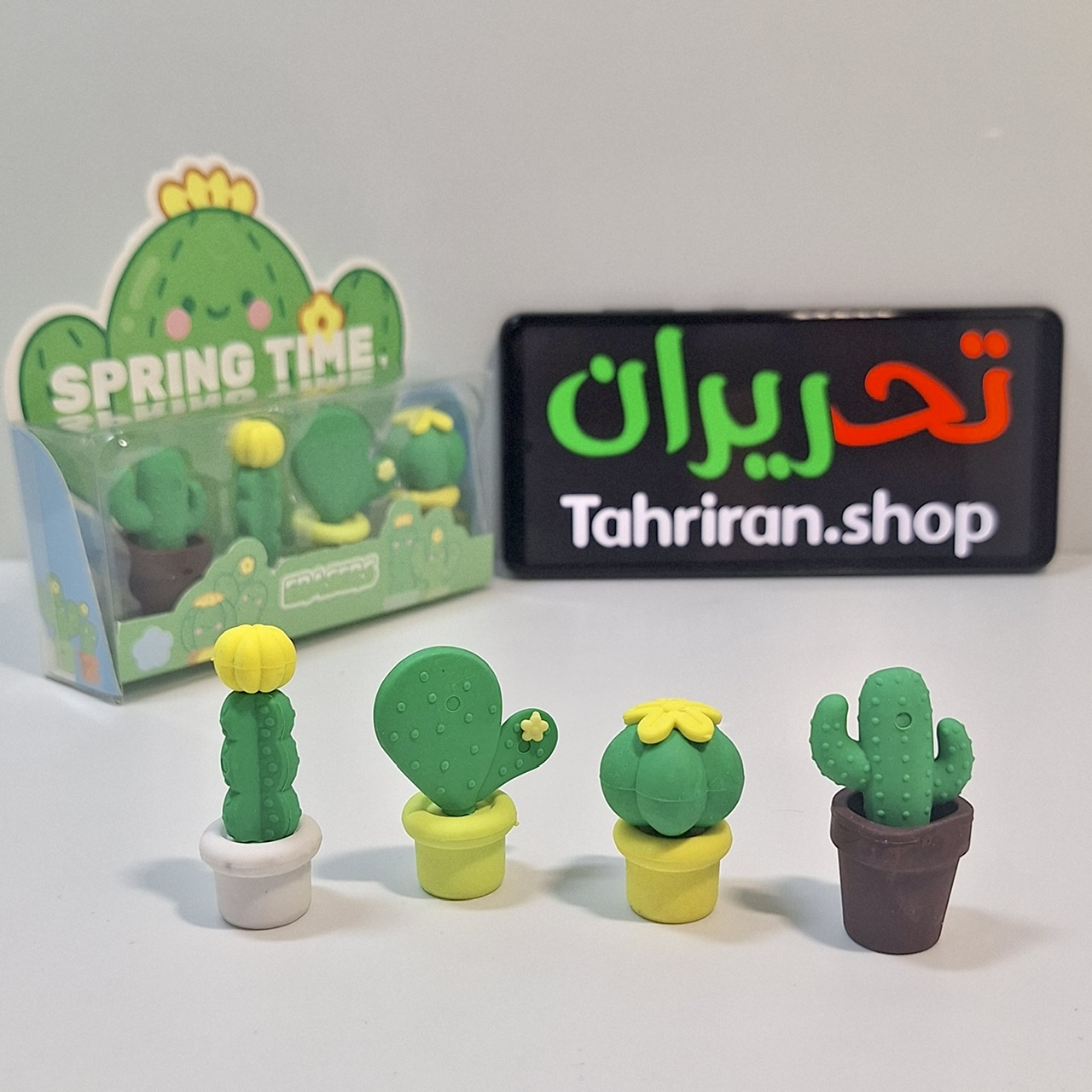 خرید بسته پاک کن فانتزی طرح کاکتوس ۴ عددی
