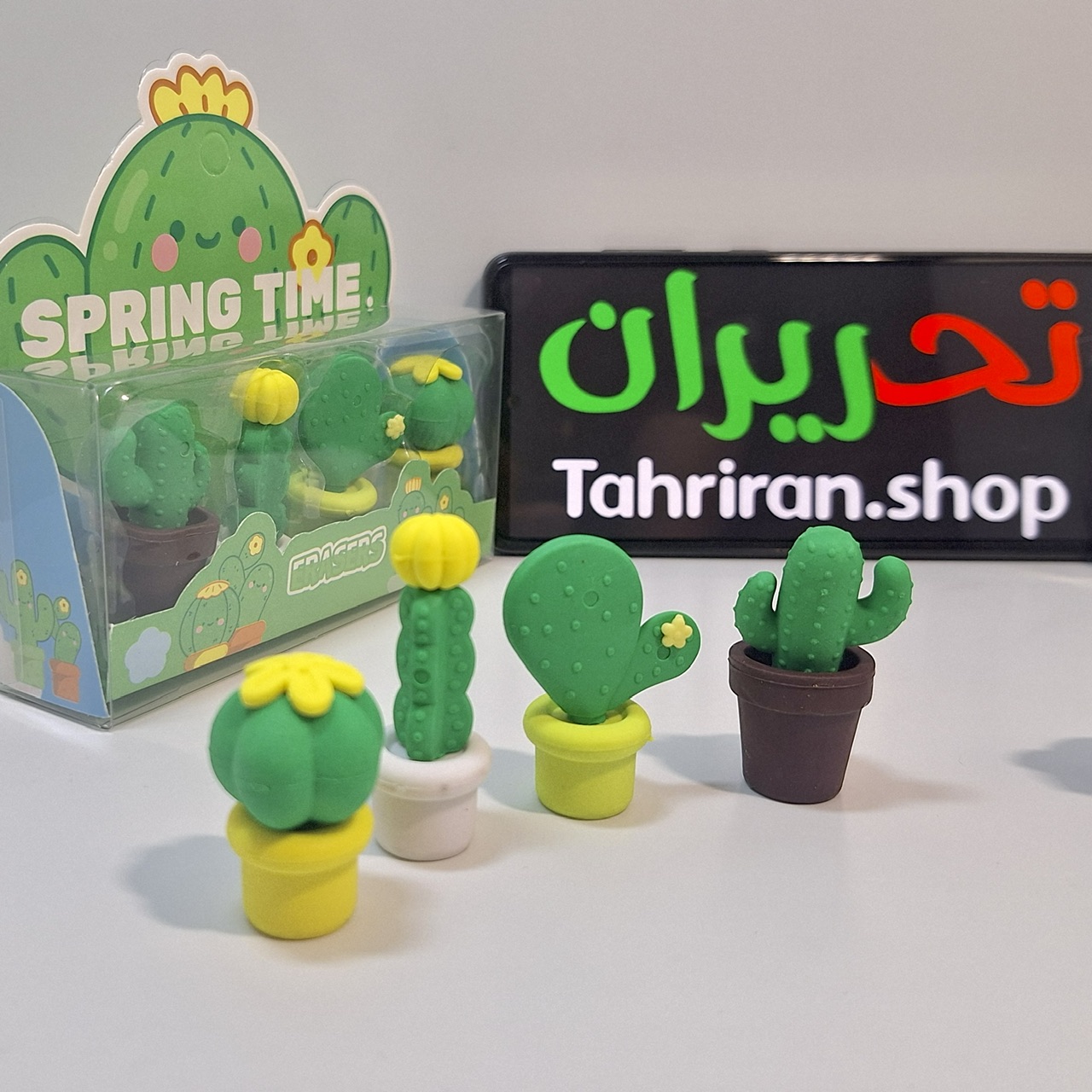 خرید بسته پاک کن فانتزی طرح کاکتوس ۴ عددی